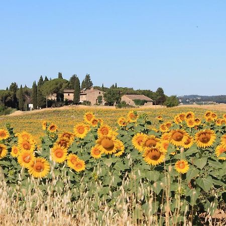 Ginestra Fiorentina Il Poggio B&B מראה חיצוני תמונה