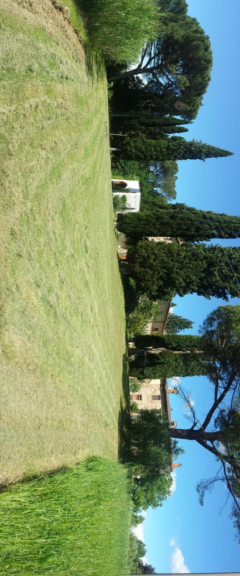 Ginestra Fiorentina Il Poggio B&B מראה חיצוני תמונה