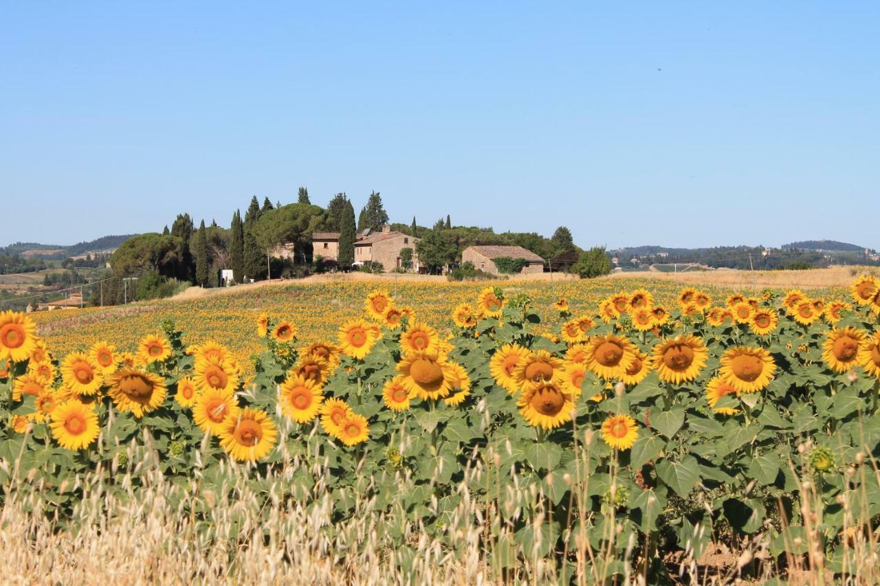 Ginestra Fiorentina Il Poggio B&B מראה חיצוני תמונה